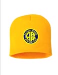 Alaska Railroad Gold Embroidered Beanie