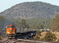 BNSF Climbing the Arizona Divide-Train Poster