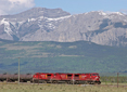 Canadian Pacific Rocky Mountain View-Train Poster